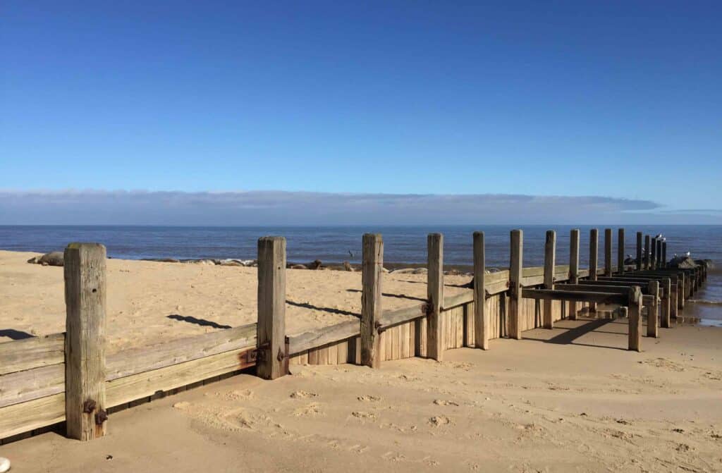 View of the beach.