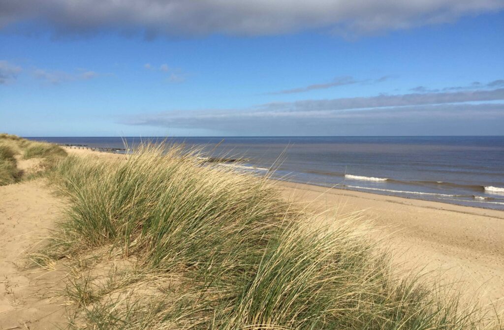 The beach.