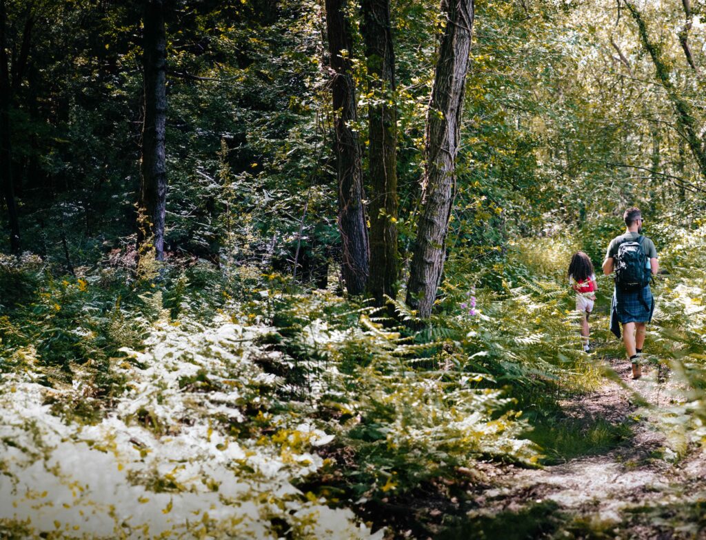 A dad and daughter walking through the forest.