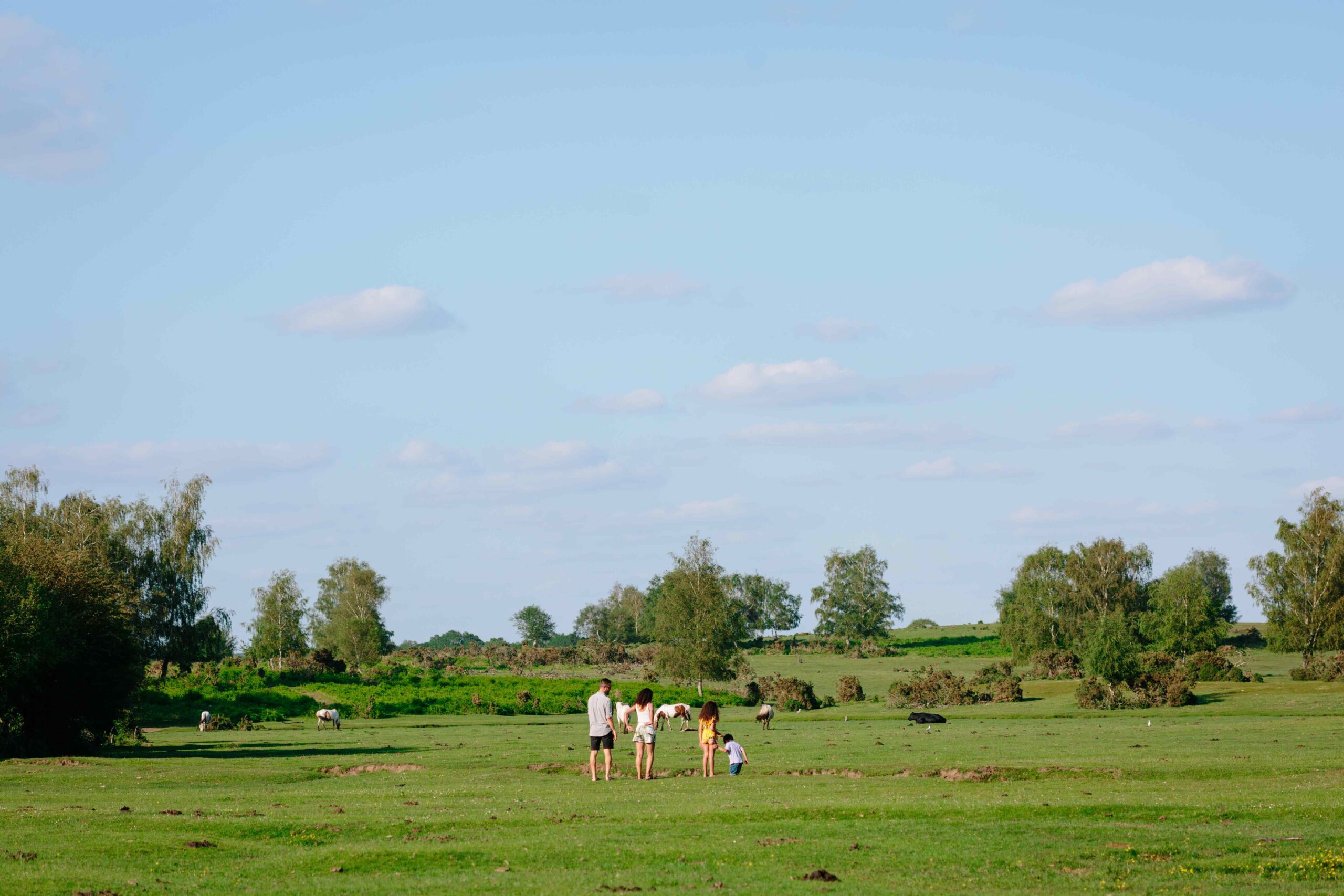 Holiday Parks In The New Forest New Forest Holidays 2025/2026