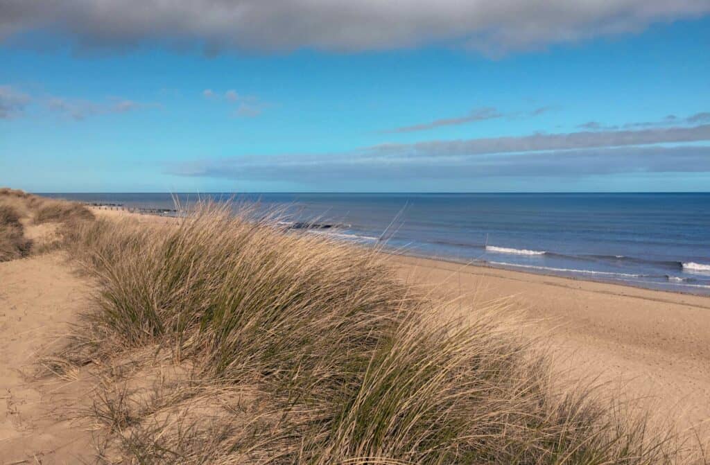 The beach