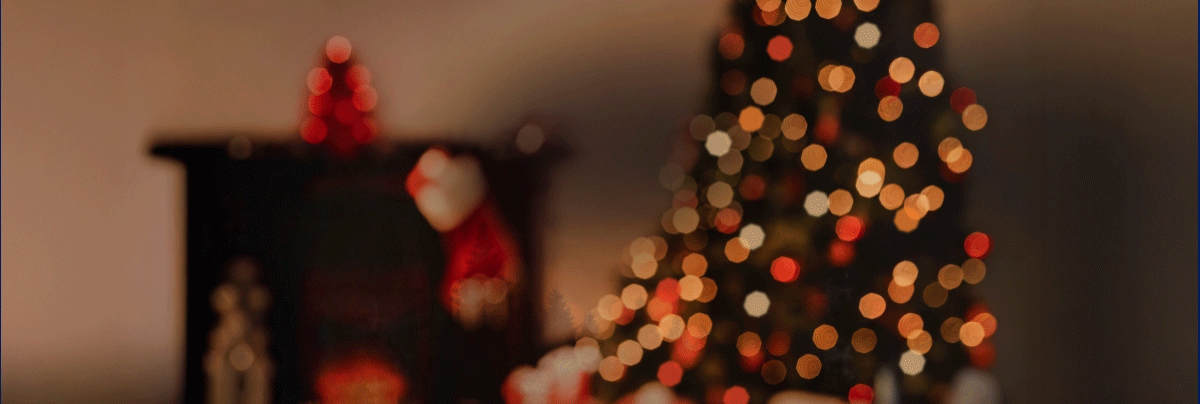 Christmas_WEB-Banner