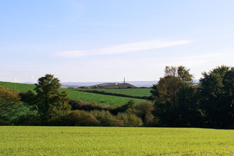 Padstow-Lovat-Parks-0470-scaled-e1748449363188