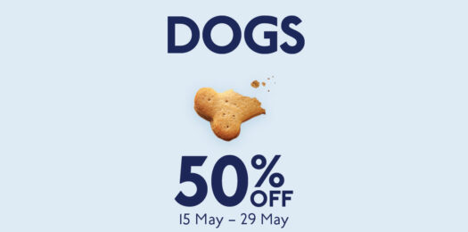dog-friendly-offer-Crop-for-web-USP