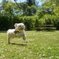 Cornish-Meadows-97-GEN-scaled-e1747843674977