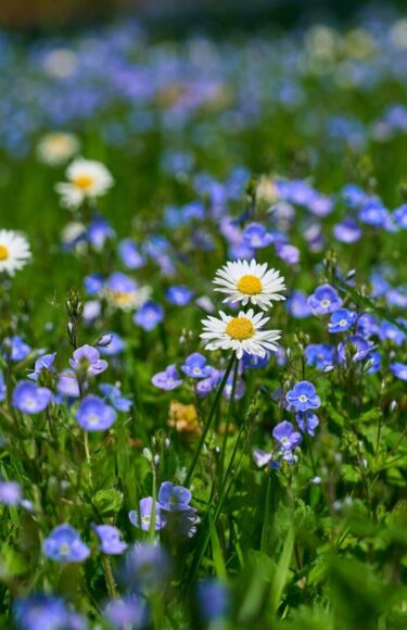 Cornish-Meadows-79-GEN-Brighter-1-scaled-e1747845369512