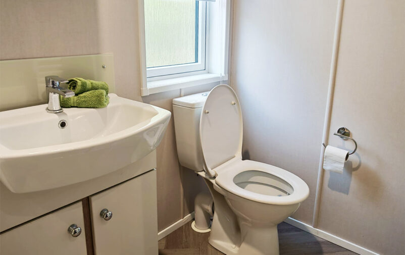 IMG-20250520-WA0052-EDIT-WEB