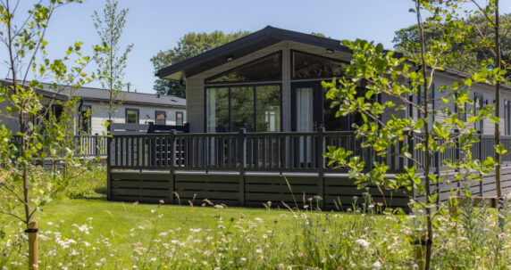 Sun-Haven-0775