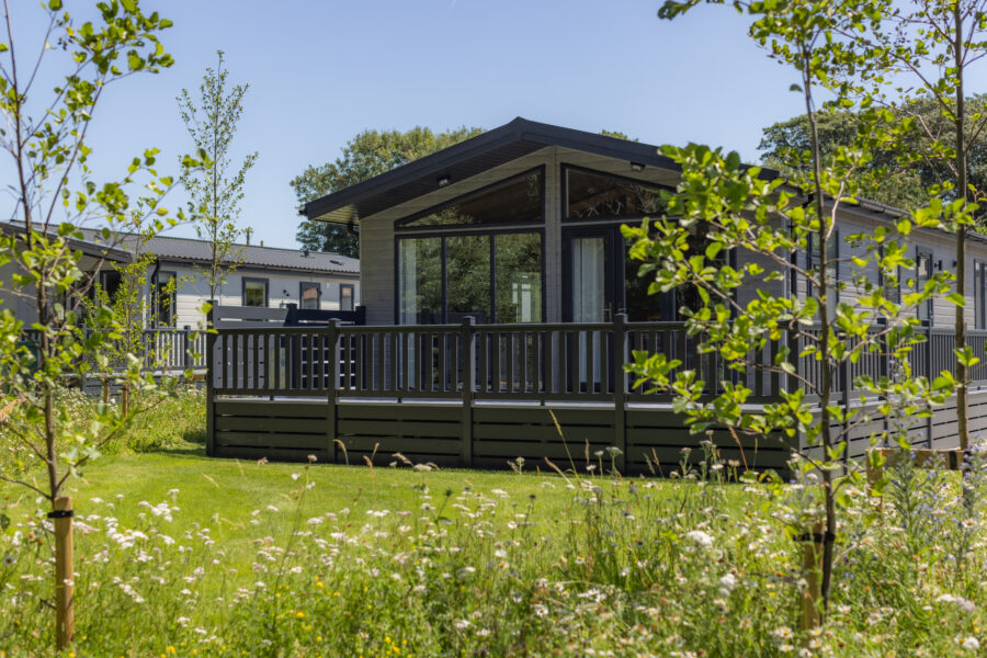 Sun-Haven-0775
