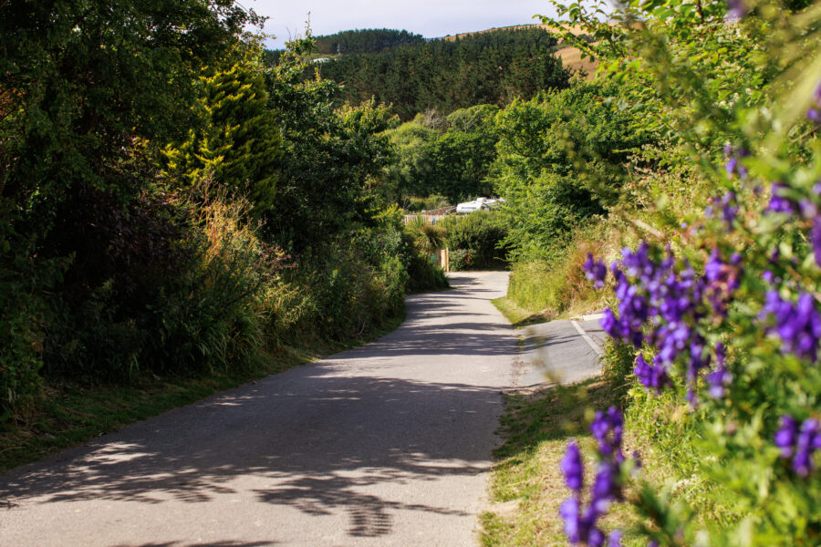 Mawgan-Porth-0898
