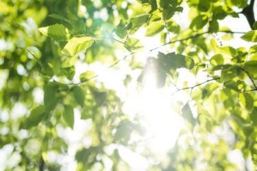 AdobeStock_515161024-scaled-e1752680592233