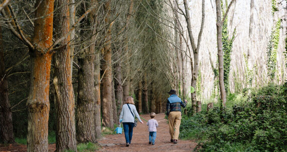 BEACH-WALK-SUN-HAVEN-PARK-LOVAT-0048-WEB