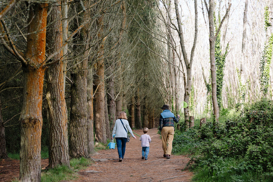 BEACH-WALK-SUN-HAVEN-PARK-LOVAT-0048-WEB