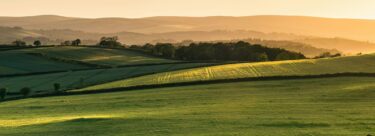 AdobeStock_440447503-72-scaled-e1755164801177