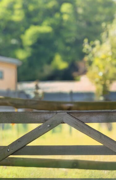 290825LovatParks-8751-EDIT-Banner-1-scaled