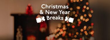 AdobeStock_1559598059-EDIT-With-Graphic-1-scaled