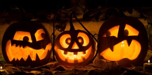 AdobeStock_94181511-scaled