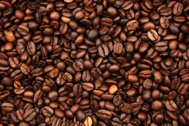 AdobeStock_281328291-scaled