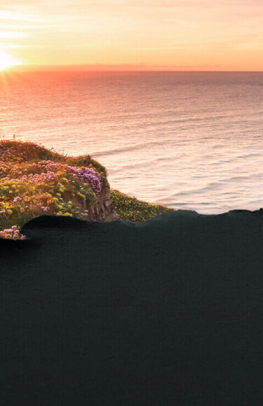 Black-Friday-Web-Holidays-Header-v2-NoRoundel-1-e1762341561286