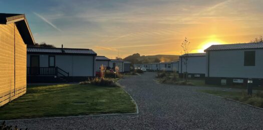 IMG_4342-EDIT-scaled-e1762430284383