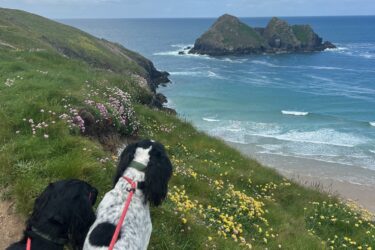 Jack_and_Cole_at_Holywell_Spring_Summer_241