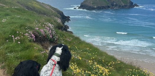 Jack_and_Cole_at_Holywell_Spring_Summer_241