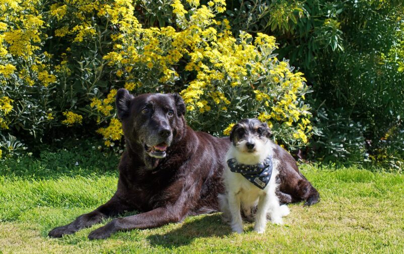 03-4032x2268-1-scaled