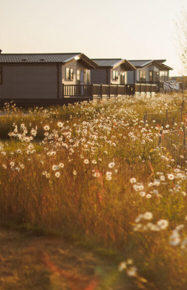 Padstow-7881-72-1-e1771866386476