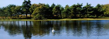 GHF_HeroImage__0001_GreenHillFarm-6100-×-4000-px-6100-×-3800-px-5618-×-3500-px-5618-×-3200-px-3-scaled