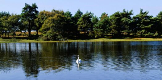 GHF_HeroImage__0001_GreenHillFarm-6100-×-4000-px-6100-×-3800-px-5618-×-3500-px-5618-×-3200-px-3-scaled