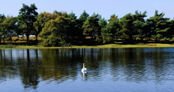 GHF_HeroImage__0001_GreenHillFarm-6100-×-4000-px-6100-×-3800-px-5618-×-3500-px-5618-×-3200-px-3-scaled