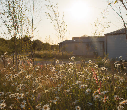Padstow-7859-EDIT-WEB