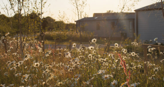 Padstow-7859-EDIT-WEB