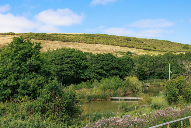 Victory Stonewood Holiday Home | 2021