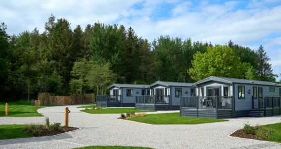 Cornish-Meadows-31-EDIT-scaled