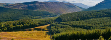 WhinlatterForest_412155166-WEB-1