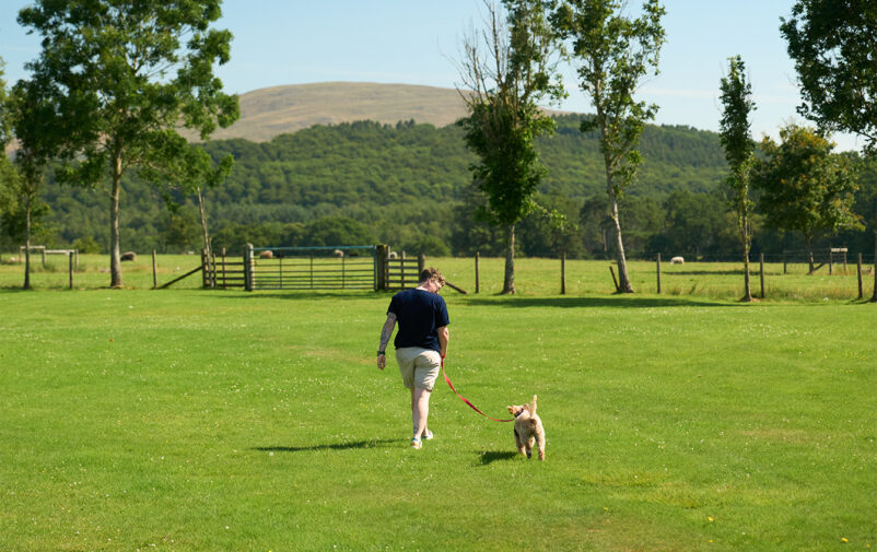 Person walking dog in lush green field at Lovat Parks.