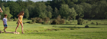Banner-Images_GHF