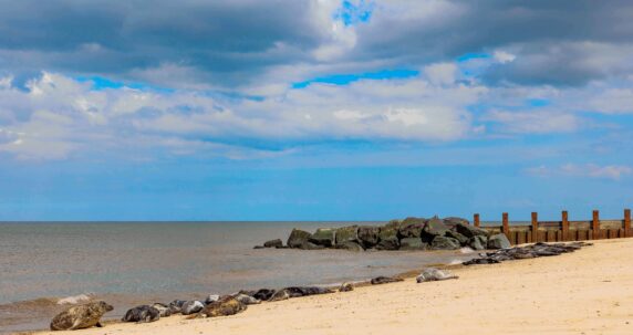 A beach.