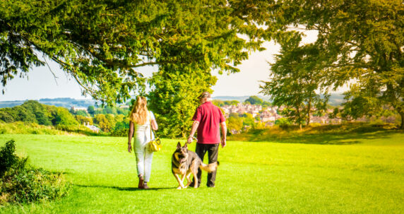 Old-Sarum-Salisbury-Dog-Walk-1