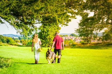 Old-Sarum-Salisbury-Dog-Walk