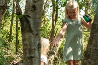 Kids walking through trees