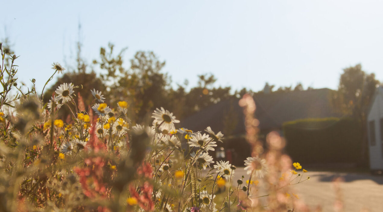 Padstow Holiday Village