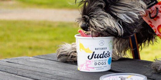Dog-Ice-Cream-1N7A0897-e1719583834194