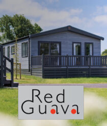 red-guava-poster-logo-2