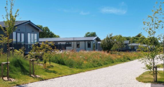 Lodges with a path in front and greenery.