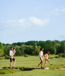 A shot of the back of a family walking in a field.