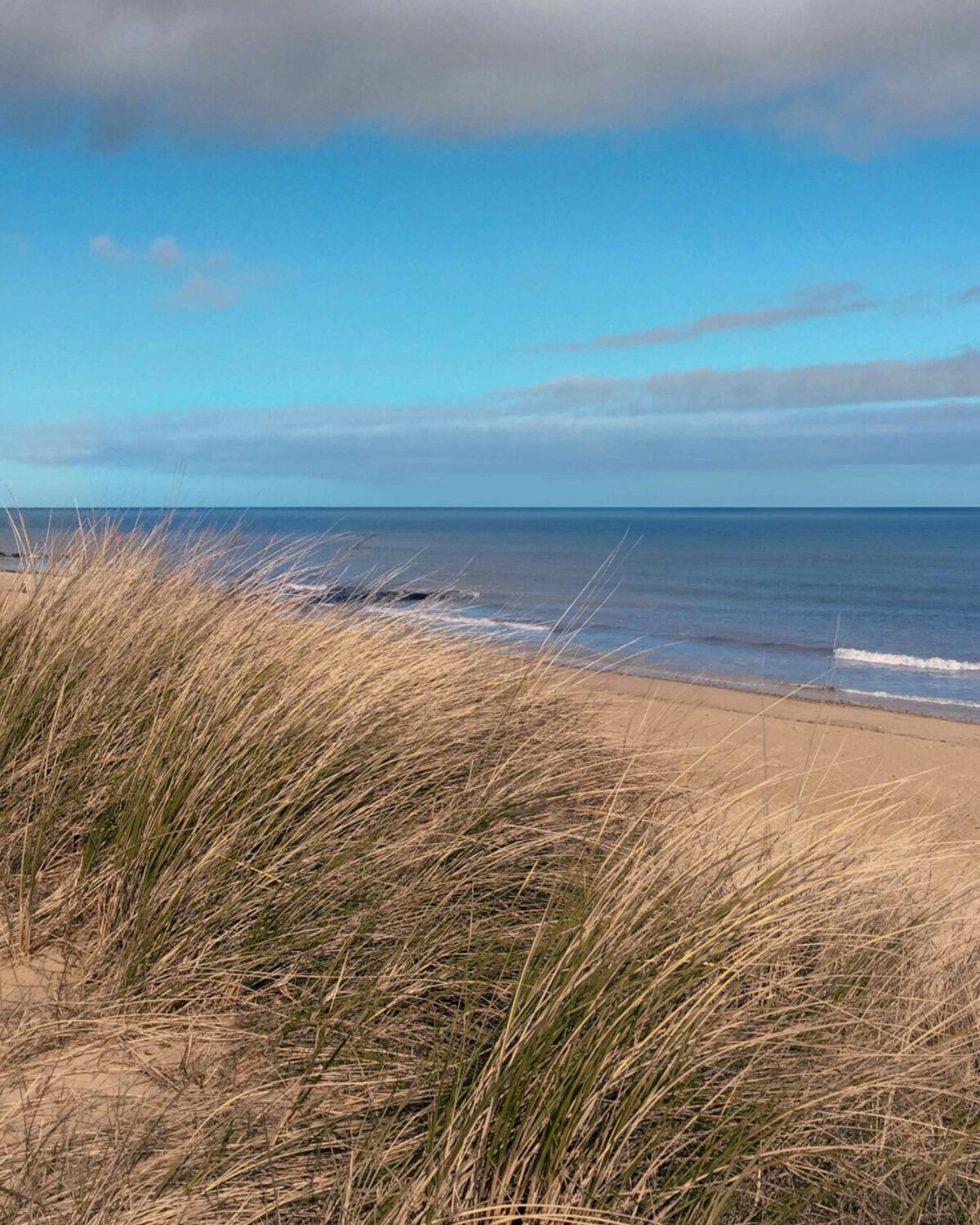 The beach