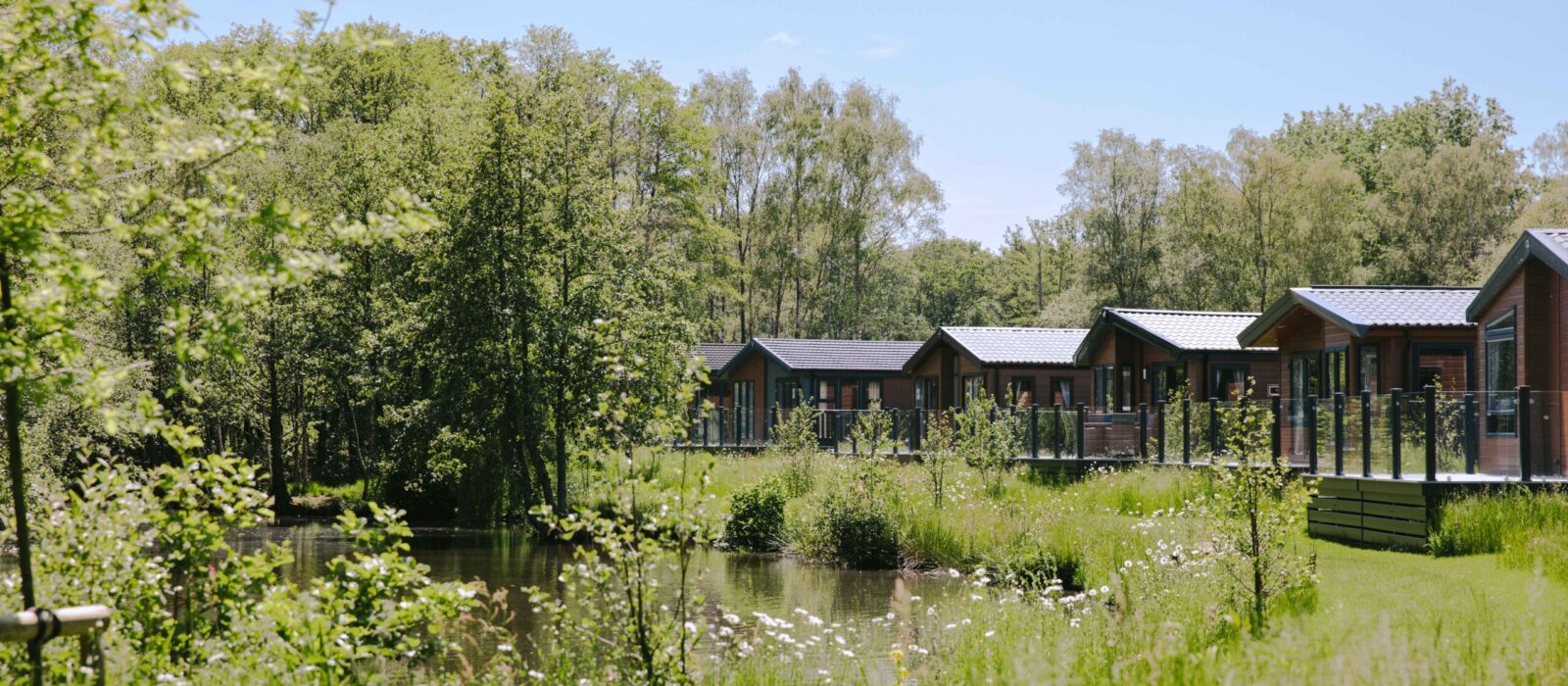 View of a row of lodges.