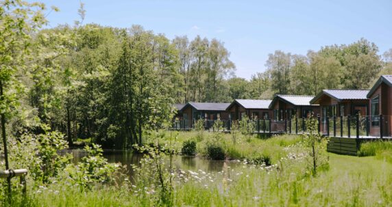 View of a row of lodges.